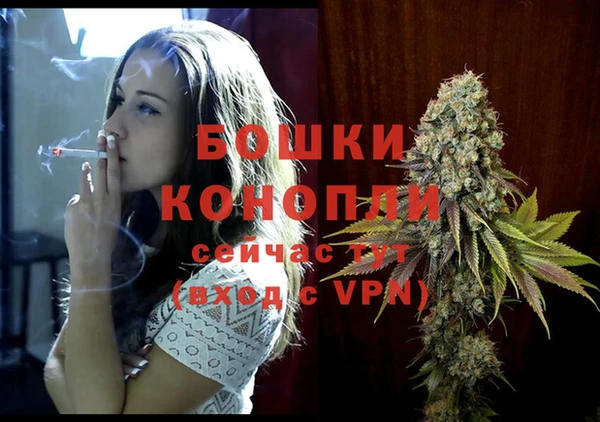 шишки Елизово