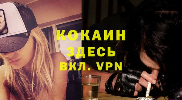 тгк Абаза